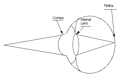 The internal lens is
    caused to change its shape under feedback control from
    the signal developed at the surface of the retina.